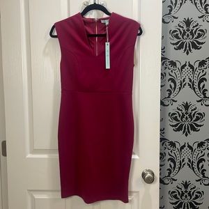 She + Sky NWT Cranberry sleeveless structured dress
